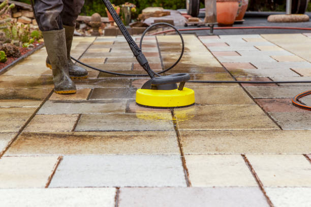 Best Animal Enclosure Cleaning  in Summit, MS